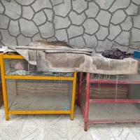 ویترین ها در ساحل برج