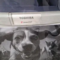 فتوکپی توشیبا Toshiba e257|پرینتر، اسکنر، کپی، فکس|اصفهان, شهید رجایی|دیوار