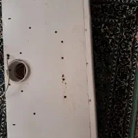 هود|هود|پارسآباد, |دیوار