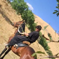 به دلیل نداشتن جا
