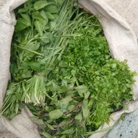 سبزی تازه فقط۶تومن