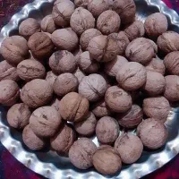 گردو میفروشم قیمت 350یا 380