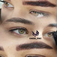 خدمات تخصصی میکروپیگمنتیشن و فیبروز ابرو|خدمات آرایشگری و زیبایی|بروجن, |دیوار
