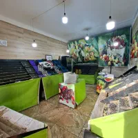 پالت میوه فروشی و ترازو