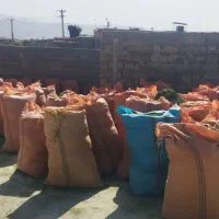 یونجه و بلوط|خدمات باغبانی و درختکاری|دهدشت, |دیوار