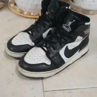 کفش طرح پاندا جردن