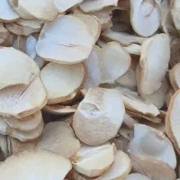 موسیر کوهی و ارگانیک و طبیعی