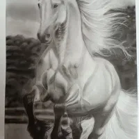 سفارش طراحی سیاه قلم