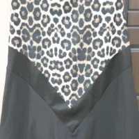 ۲ عدد پیراهن|لباس|آستارا, |دیوار