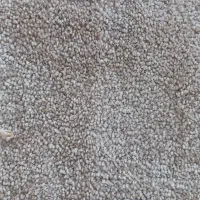 موکت ۱۲متری پالاز موکت در حد