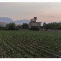 زمین-حشمت-آباد