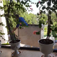 نظافت کار اقاهستم اپارتمان منازل و ادارات ساعتی