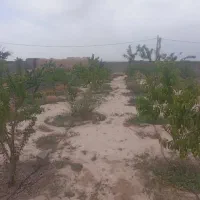 سلام زمین فروشی