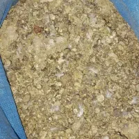 کود کبوتر تمیز