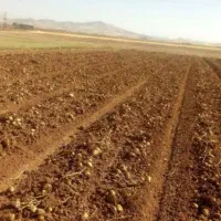 فروش یک حلقه چاه با ۳۰۰ جریب زمین ۵ اینچ آب