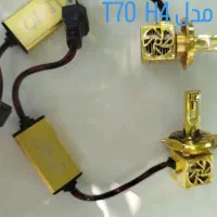 واگذار رایگان سگ ژرمن بلک اصیل عکس دومم