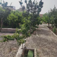 باغ ویلا