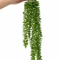 آویز شمشاد ریسه ای ۱۶ شاخه