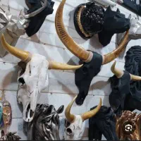 تخته نرد حرفه ای جمجمه اسکلت تزیینی و و