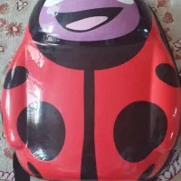 کیف کفشدوزک