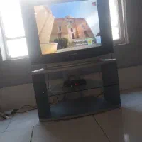 تلویزیون