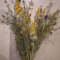 دسته گل خارجی فقط ۲۵۰