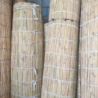 حصیربافی سنتی|صنایع دستی و سایر لوازم تزئینی|گنبد کاووس, |دیوار