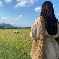 کیف رافیا|کیف، کفش، کمربند|رشت, پیرسرا|دیوار