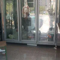یخچال قصابی