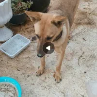 درود خدمت شما عزیزان