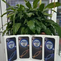 تجربه تکنولوژی برتر با پرداخت قسطی+/حکمت کارت