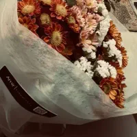 نیازمند کمک در ادیت فیلم