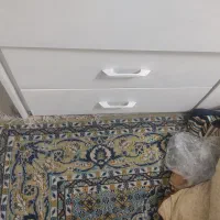 فرش ۹متری طوسی فرش سبز ۶متری|فرش|لاهیجان, کوی خزر|دیوار