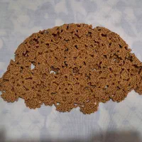 کلاه تابستانی