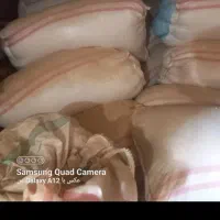 کاه گندم
