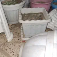 گلدان