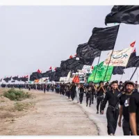 مسافر اربعین