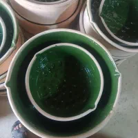 فروش کش ساوولانجین