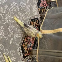 دوتا عروس هلندی قیمت مناسب
