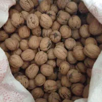 گردو فروشی