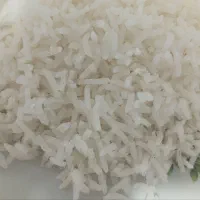 برنح هاشمی  شمال