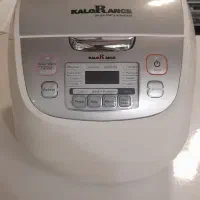بخار پز هواپز  و سرخ کن