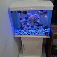 اکواریم با میز خودش