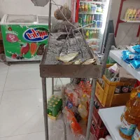 منقل برقی جیگرکی