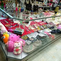 ویترین آهنی