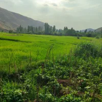 سوئیت-اقامتی-سنتی-شب-های-الموت