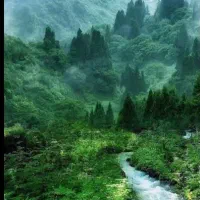 گاوداری صنعتی روستا گنبد ساخت 100راسی جواز 200راسی