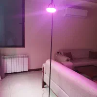 نور رشد گیاه با پایه