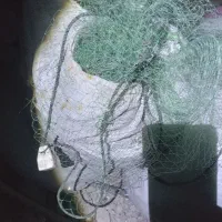 تور ماهی|ماهیگیری|بوشهر, |دیوار