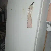 فریزر ۷ کشو
